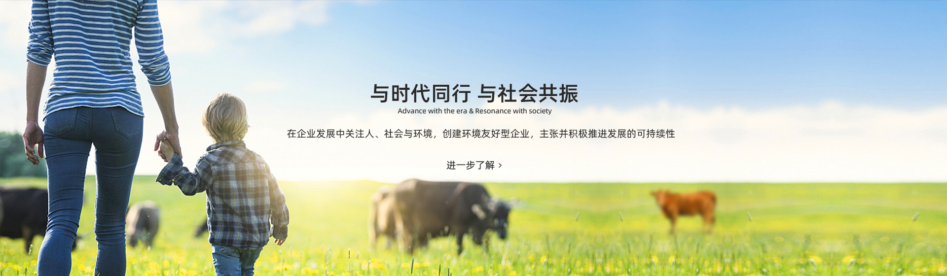 氯化銨設(shè)備